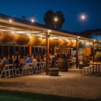 The terrace lit with festoon lighting on a summer evening